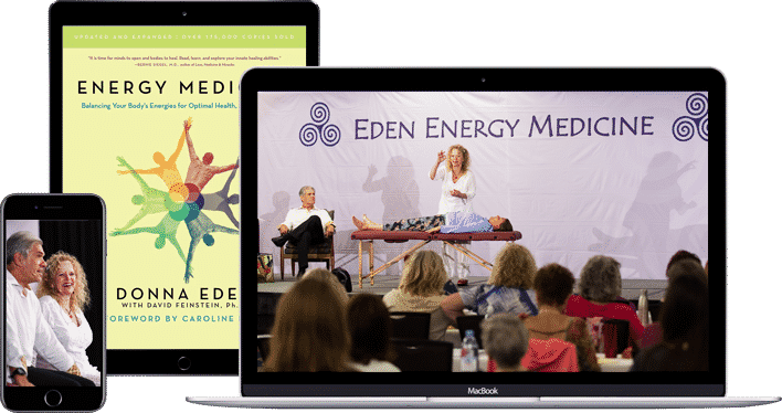 Energy Medicine Book and Streaming