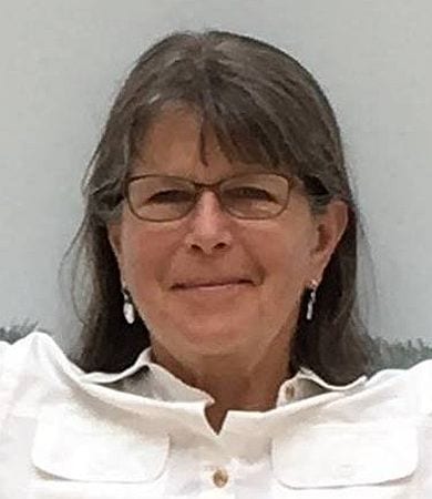susan-shanley-2019b-390x450 Susan Shanley