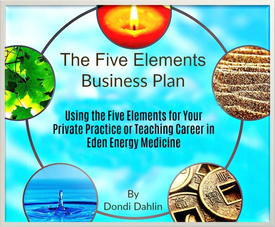 Five Elements Business Plan – Eden Method