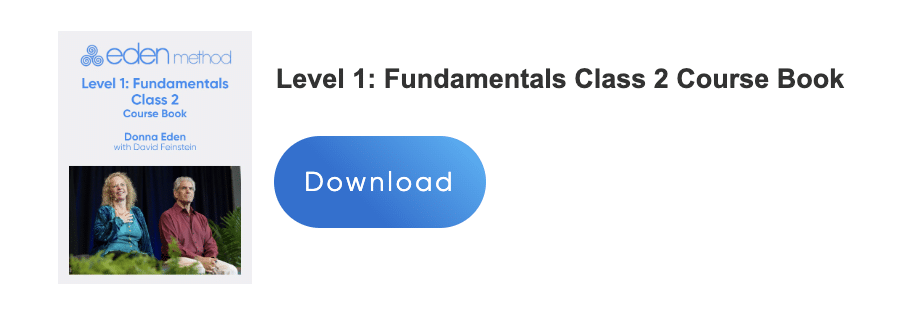 Level 1 Fundamentals – Eden Method