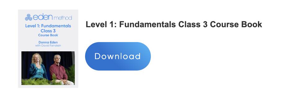 Level 1 Fundamentals – Eden Method