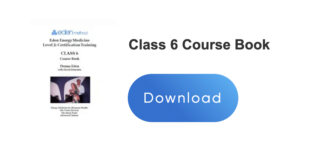 Level 2 Certification Training – Eden Method