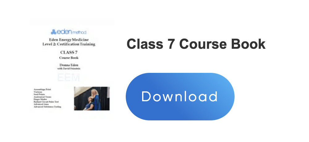 Level 2 Certification Training – Eden Method