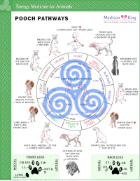 Pooch Method pooch-pathways – Eden Method