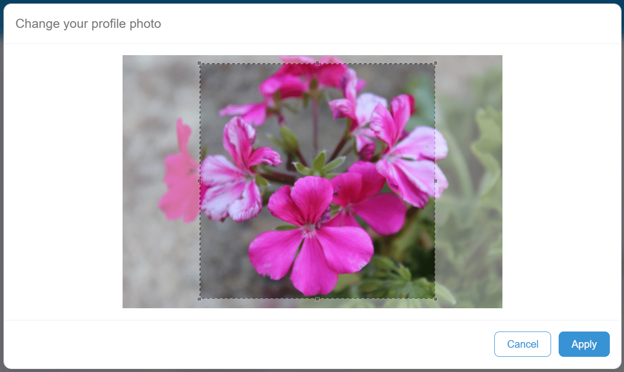 Change Profile Picture pop up screen - edit picture